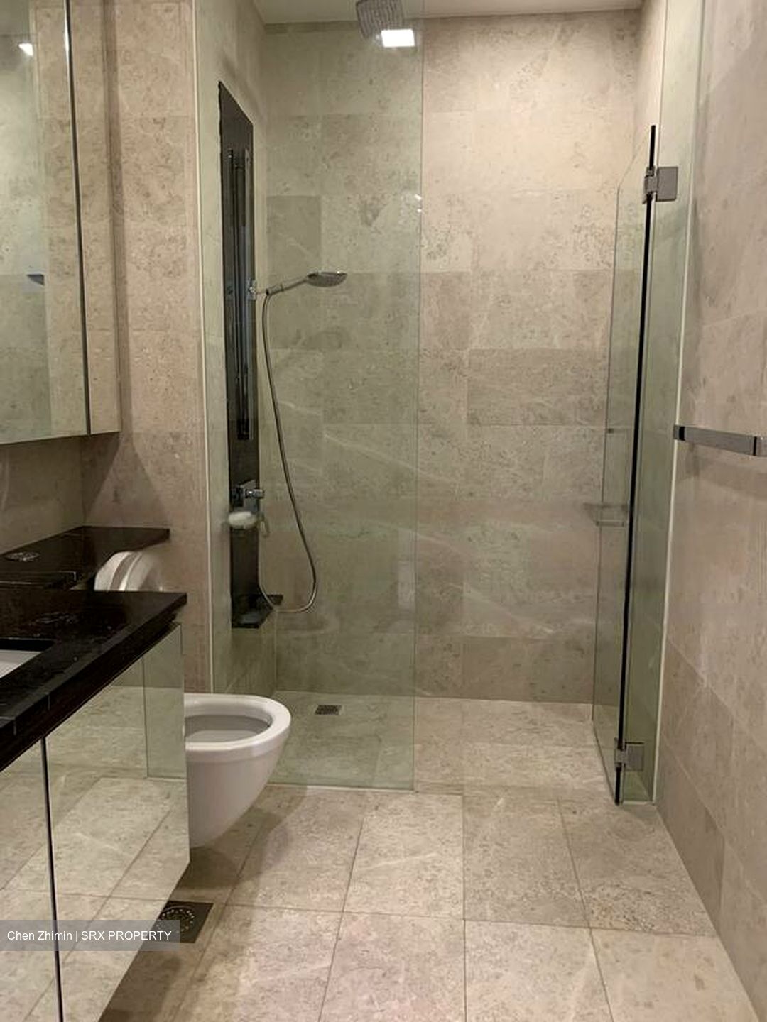 The Boutiq (D9), Apartment #456011941